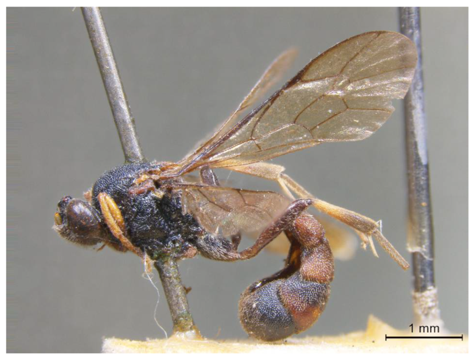 Insects 14 00389 g007