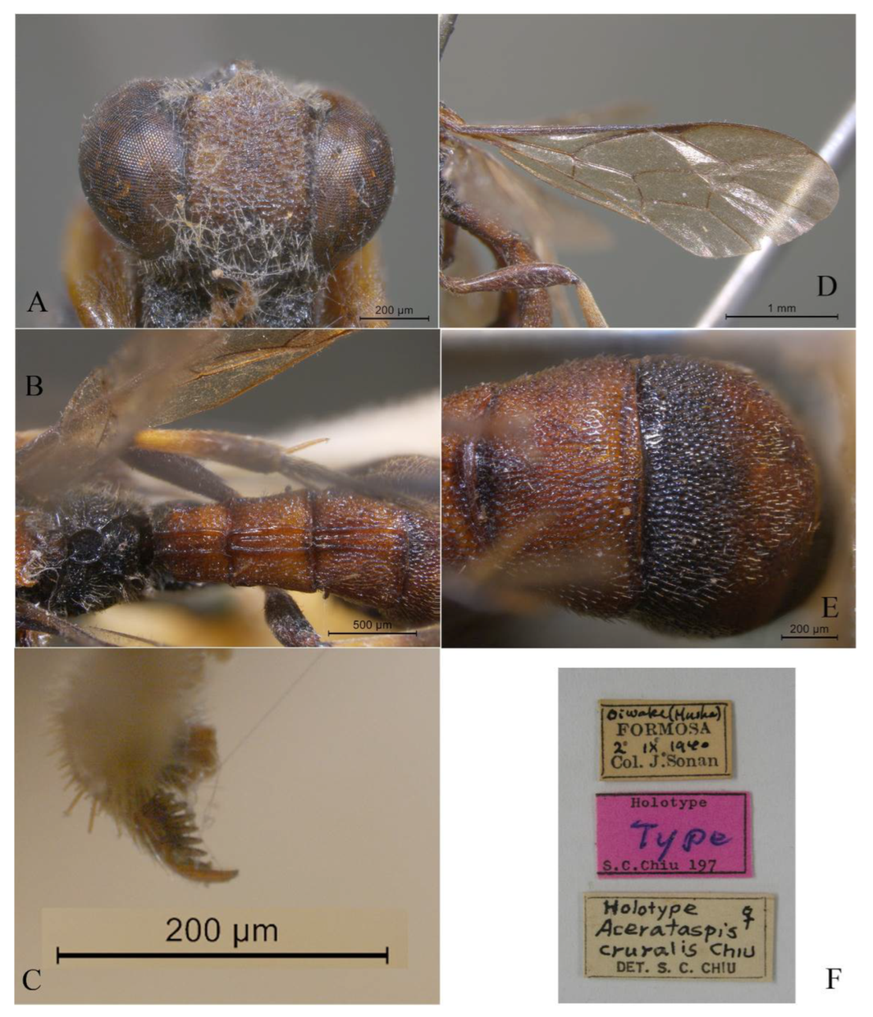 Insects 14 00389 g008