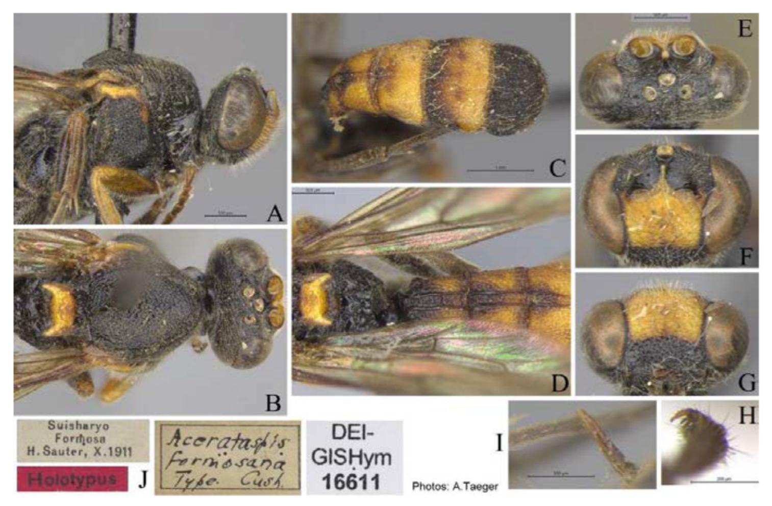 Insects 14 00389 g009