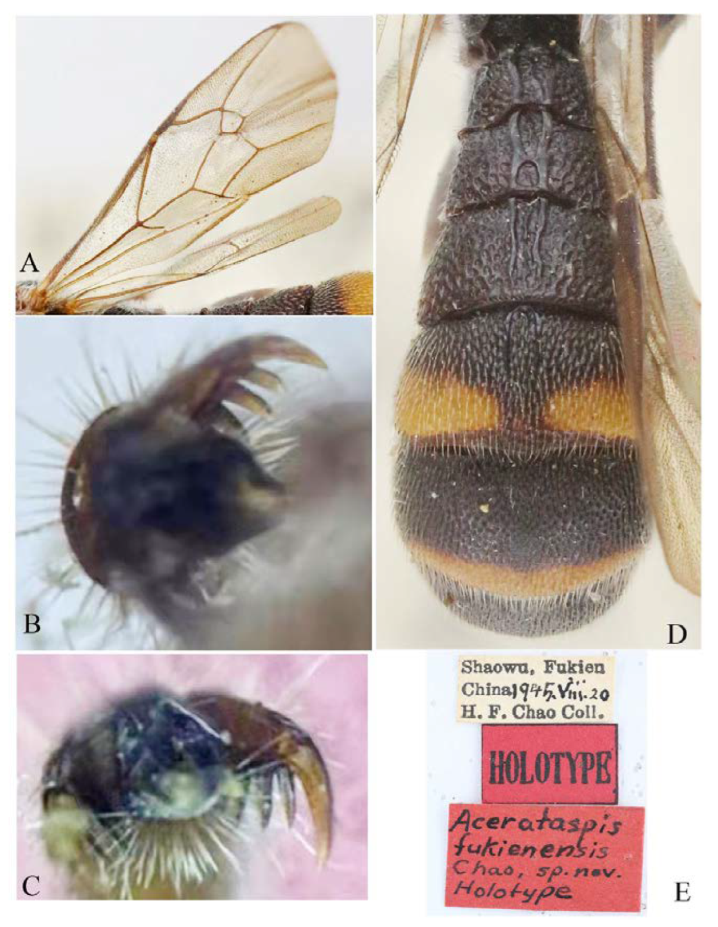 Insects 14 00389 g012