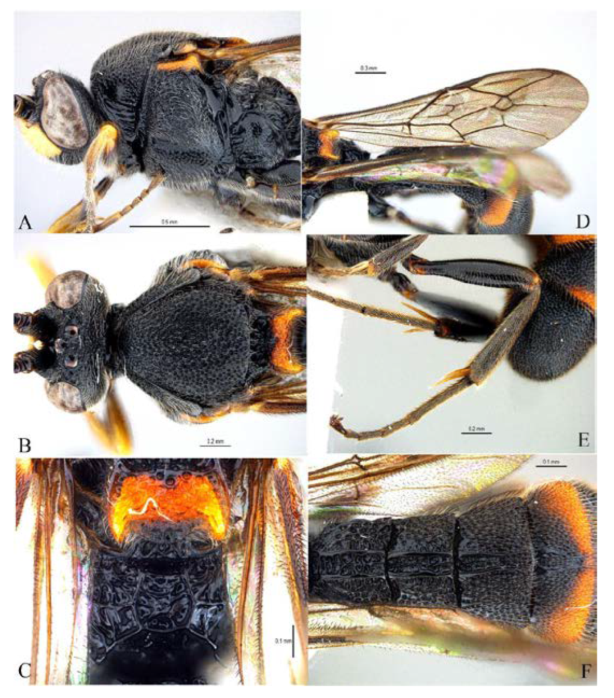 Insects 14 00389 g014