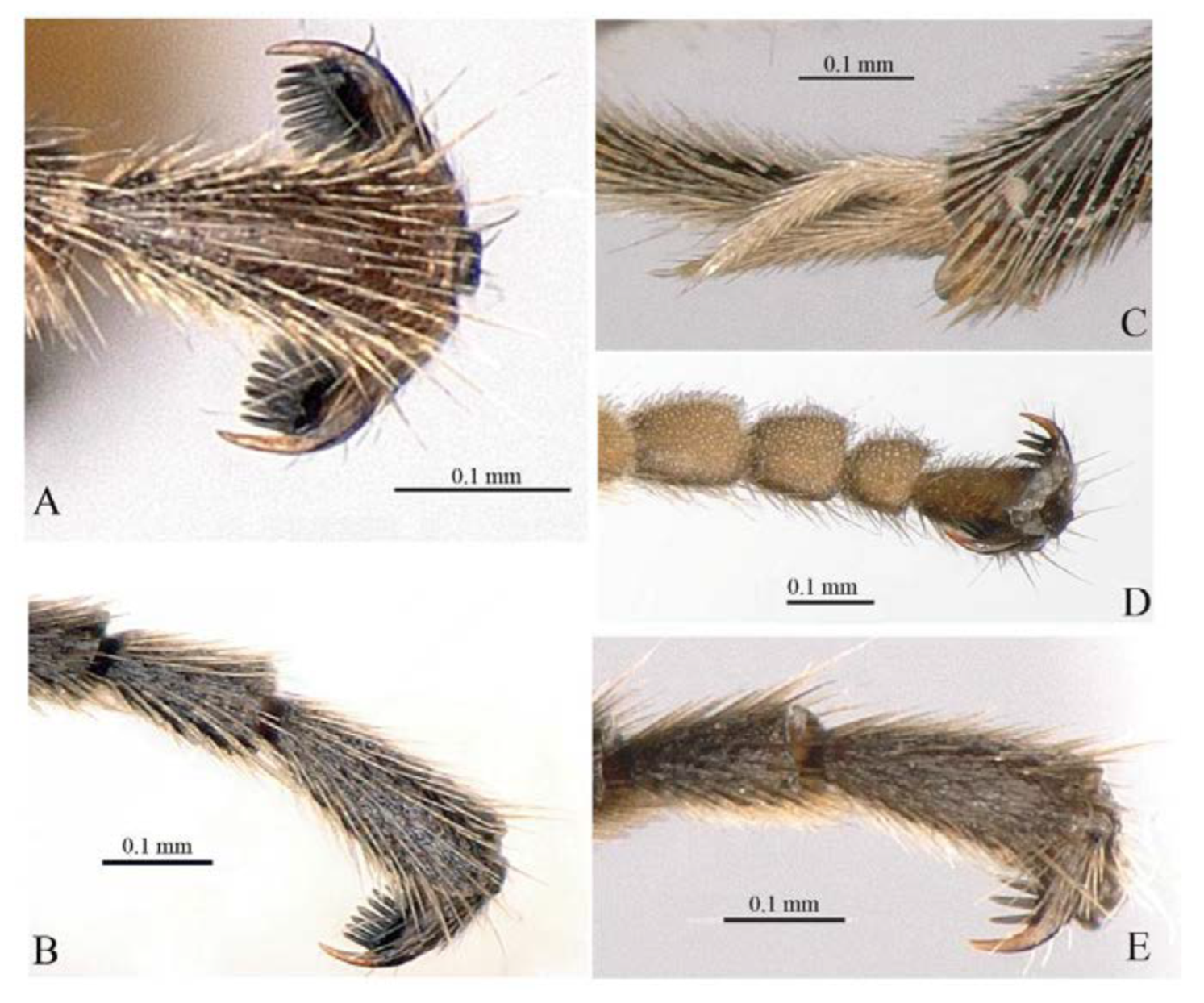 Insects 14 00389 g015