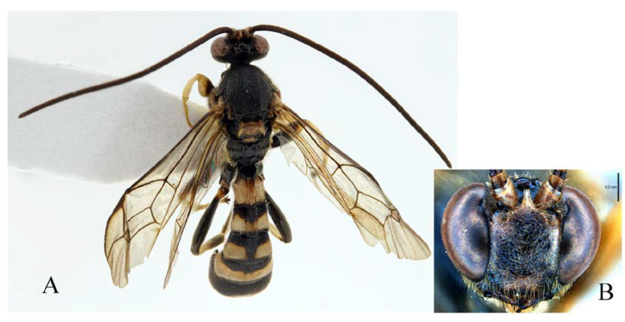 Insects 14 00389 g017