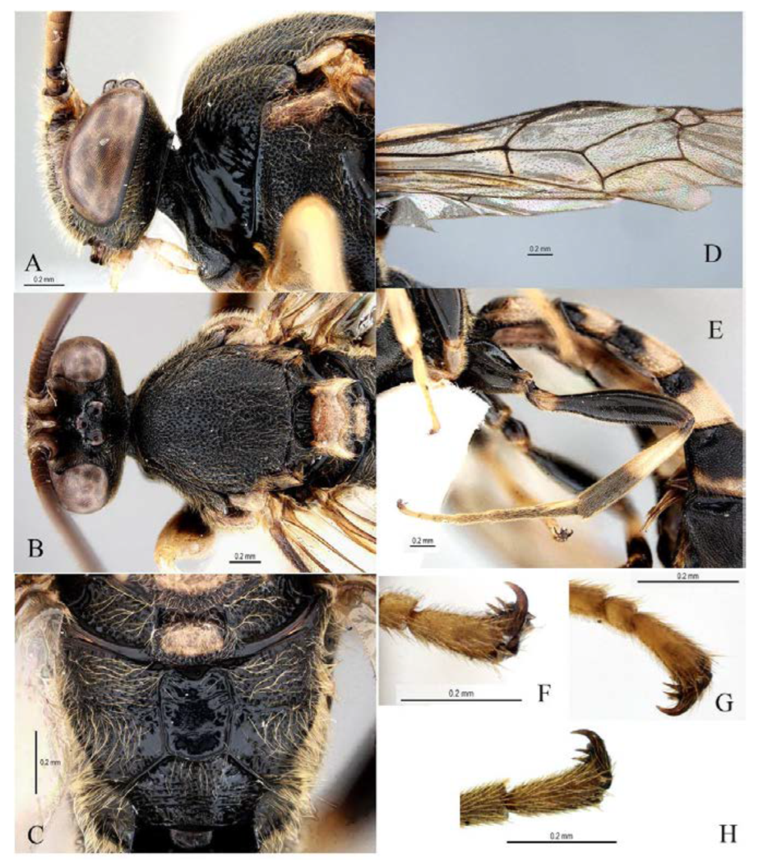 Insects 14 00389 g019