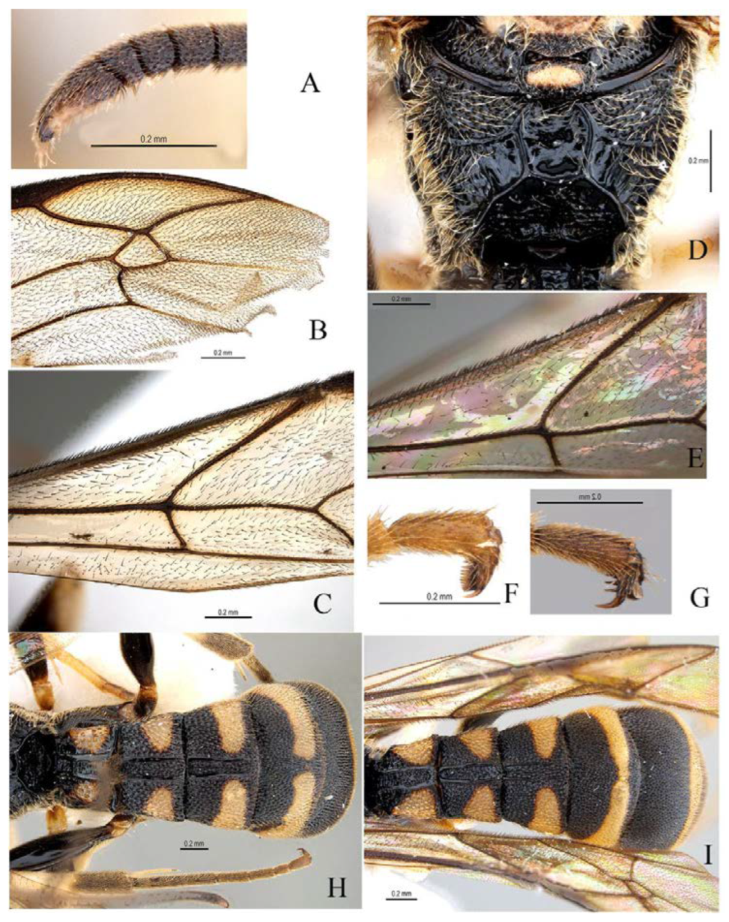 Insects 14 00389 g020