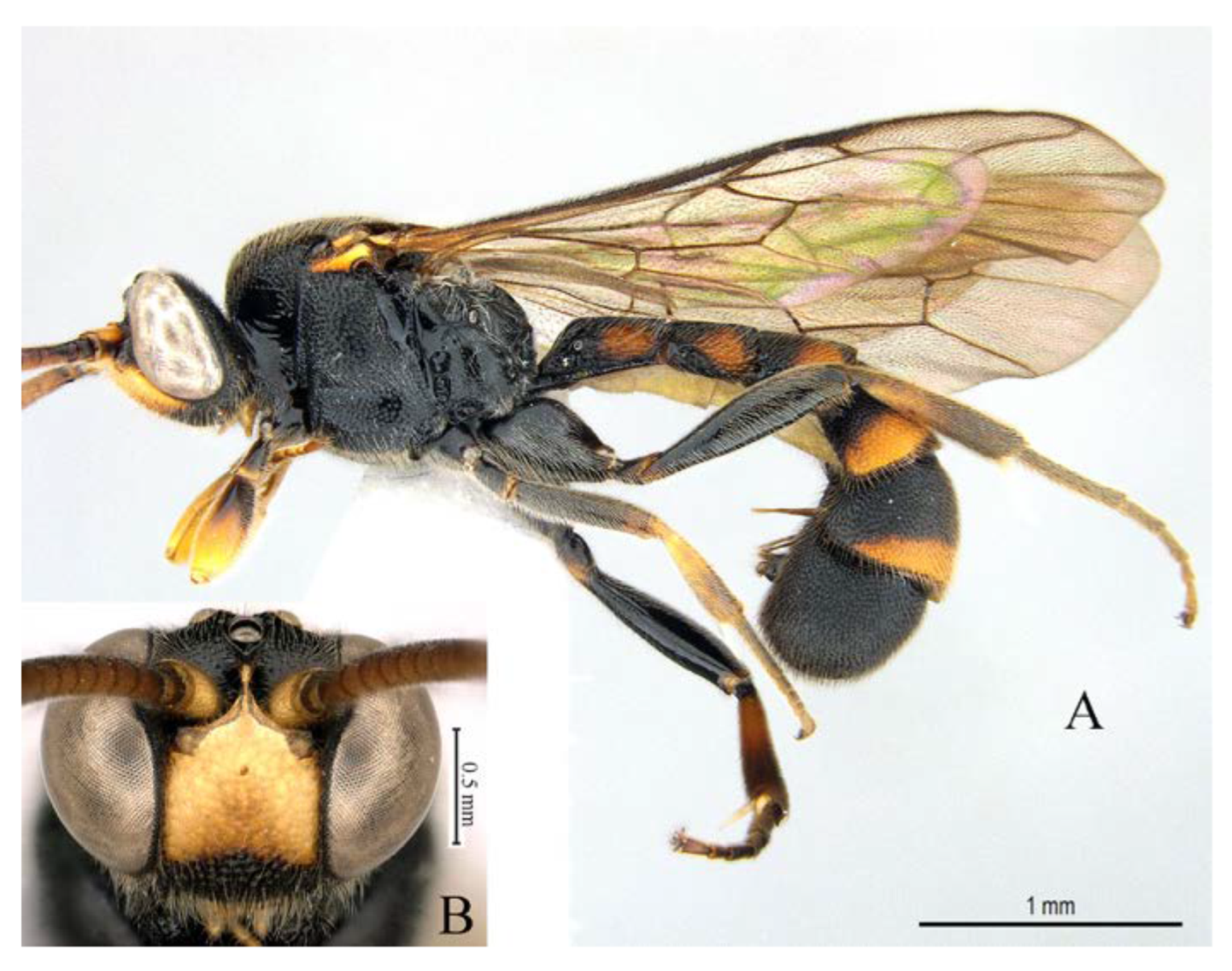 Insects 14 00389 g021