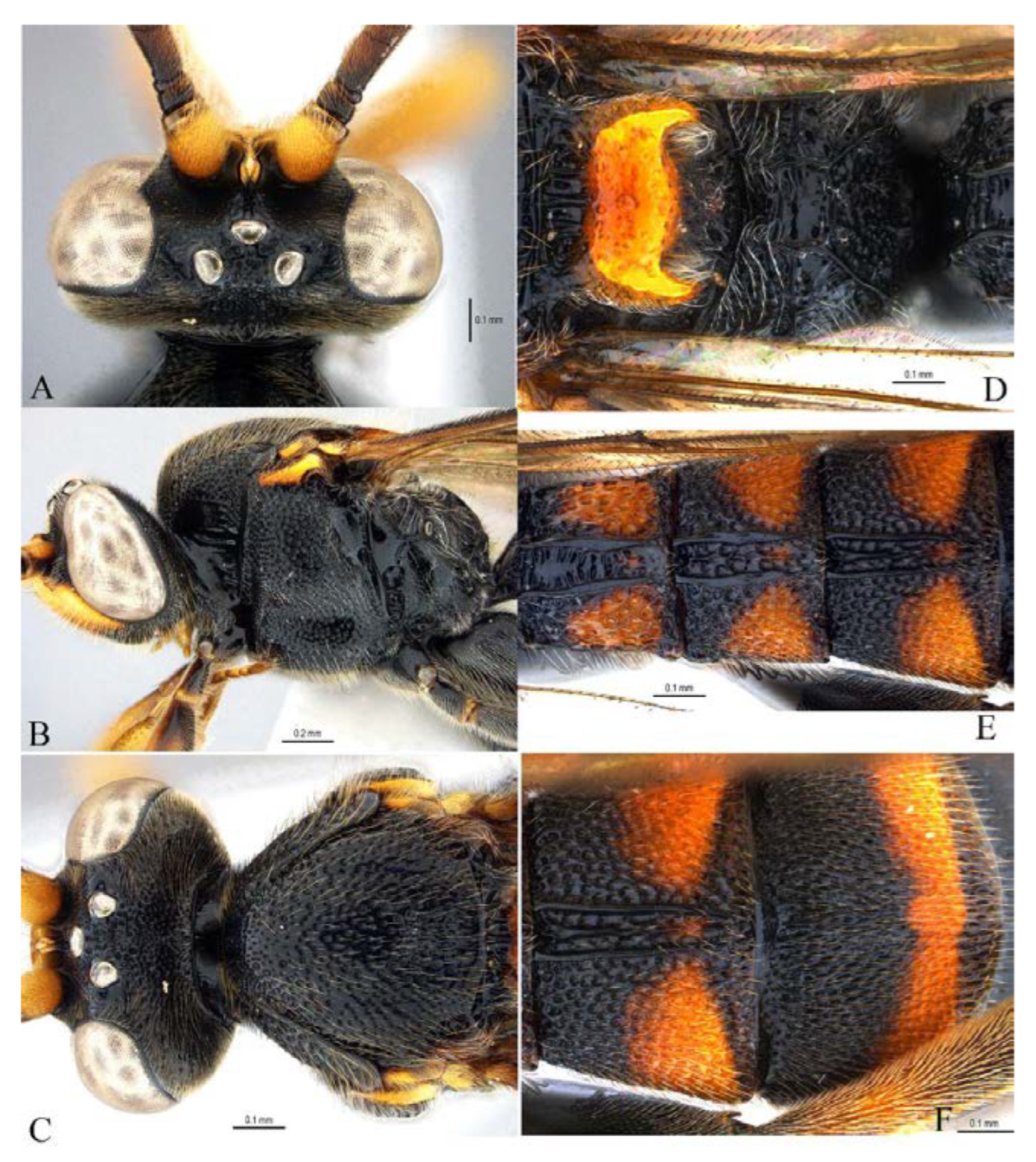 Insects 14 00389 g022