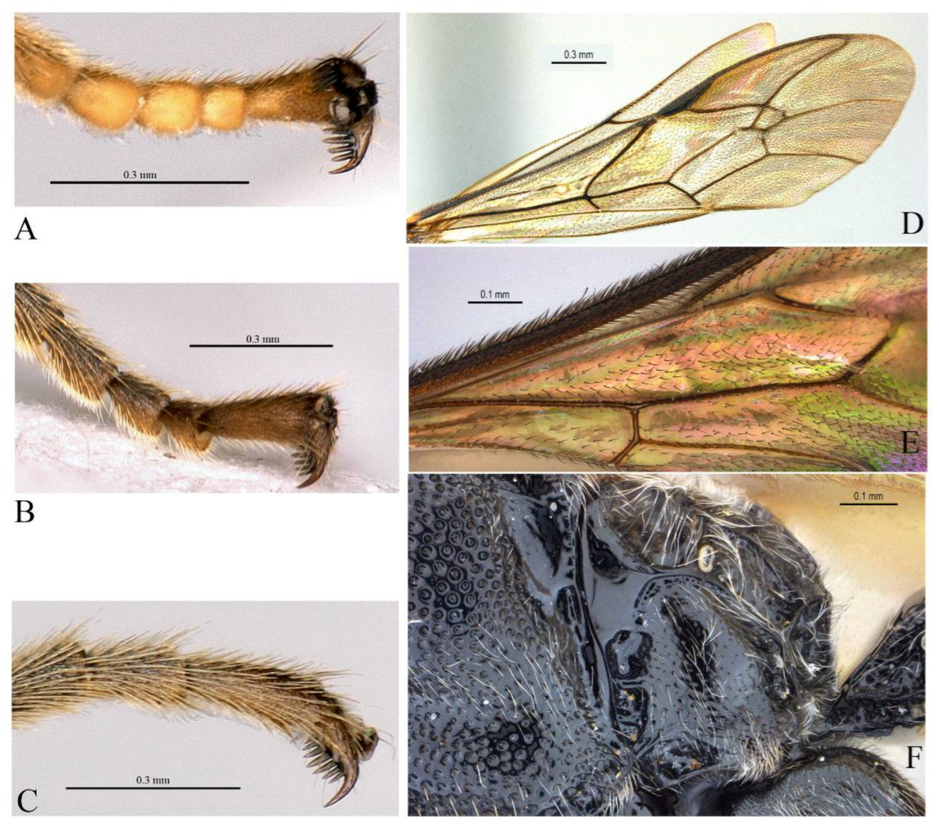 Insects 14 00389 g023