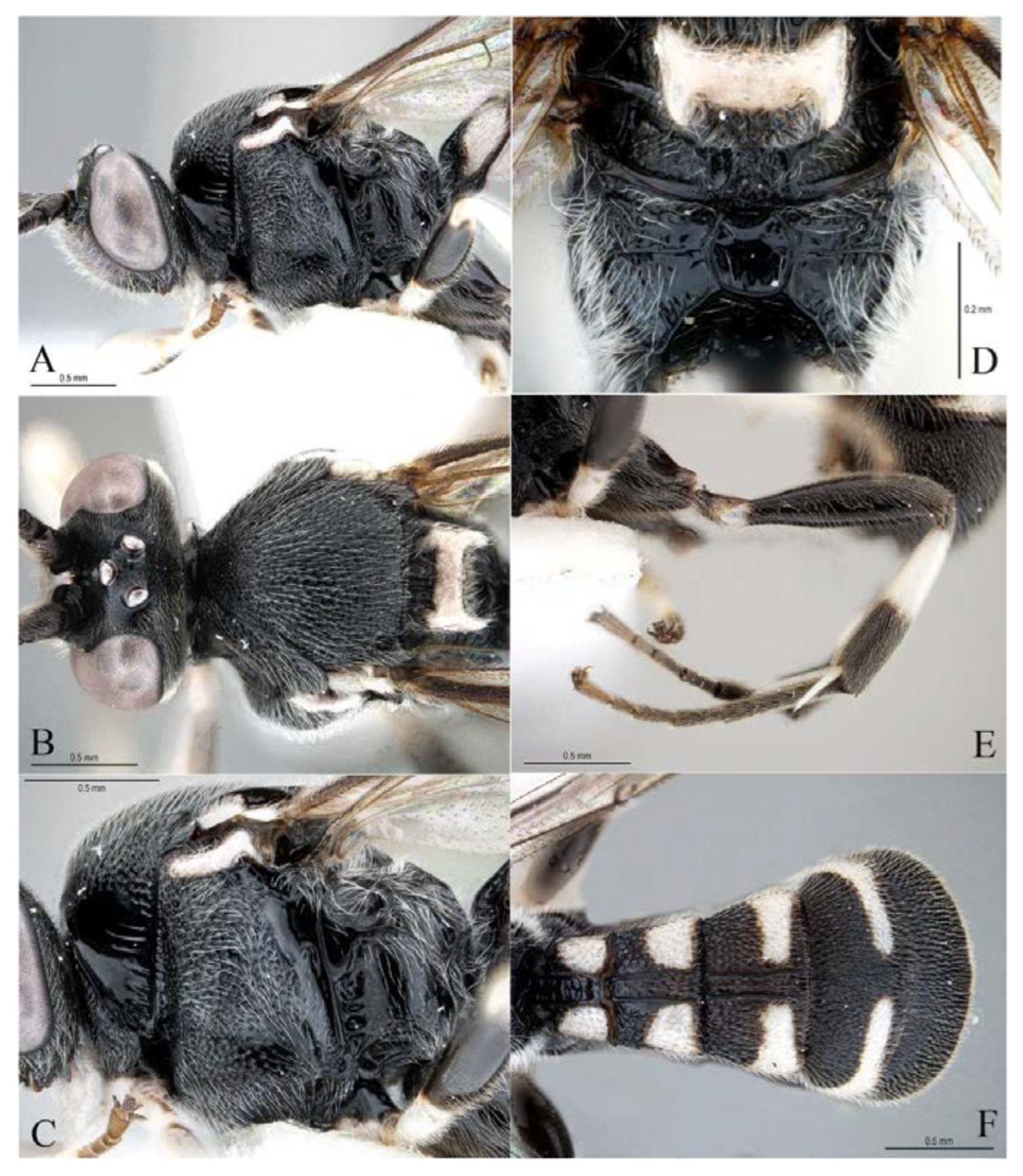 Insects 14 00389 g025