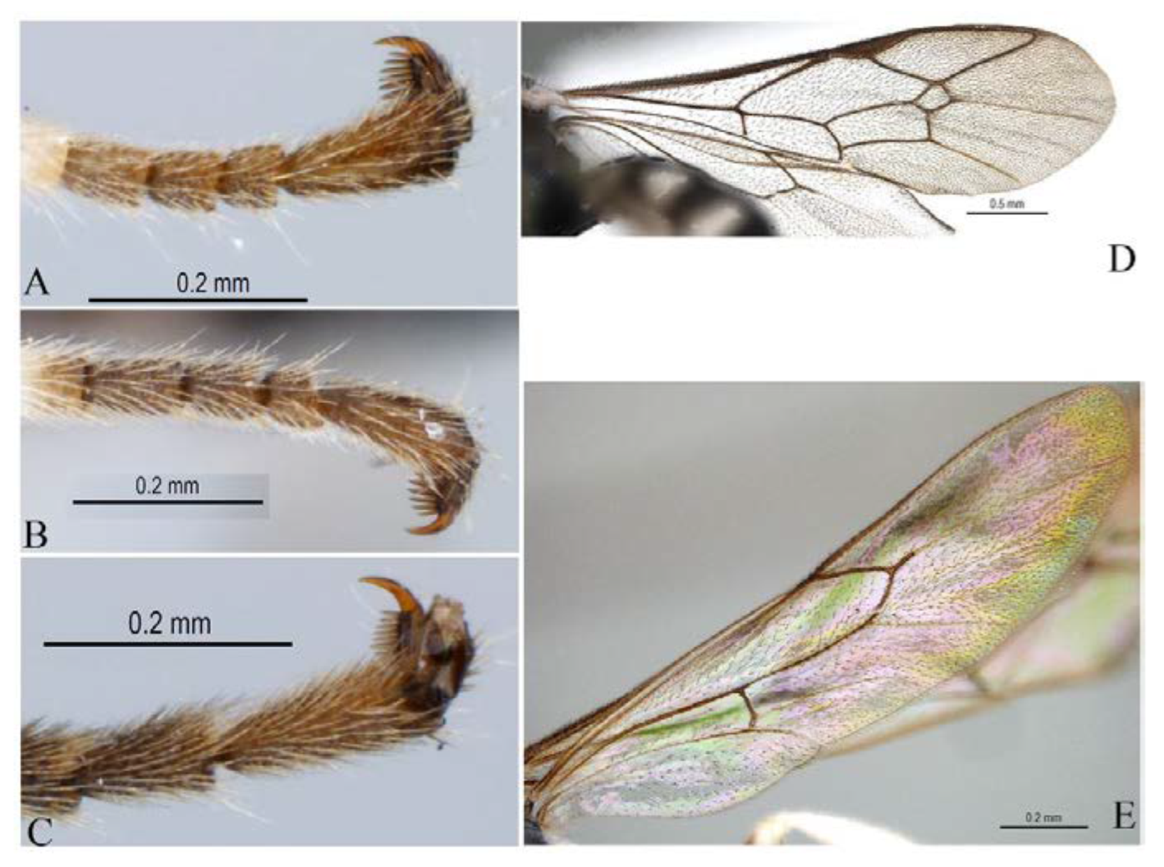 Insects 14 00389 g026