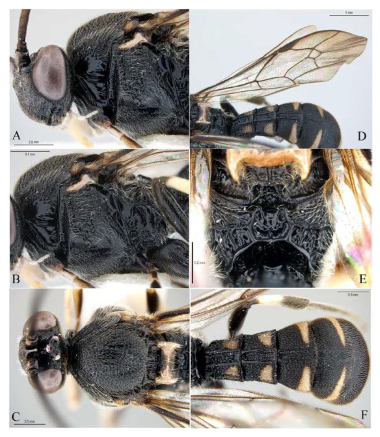 Insects 14 00389 g028