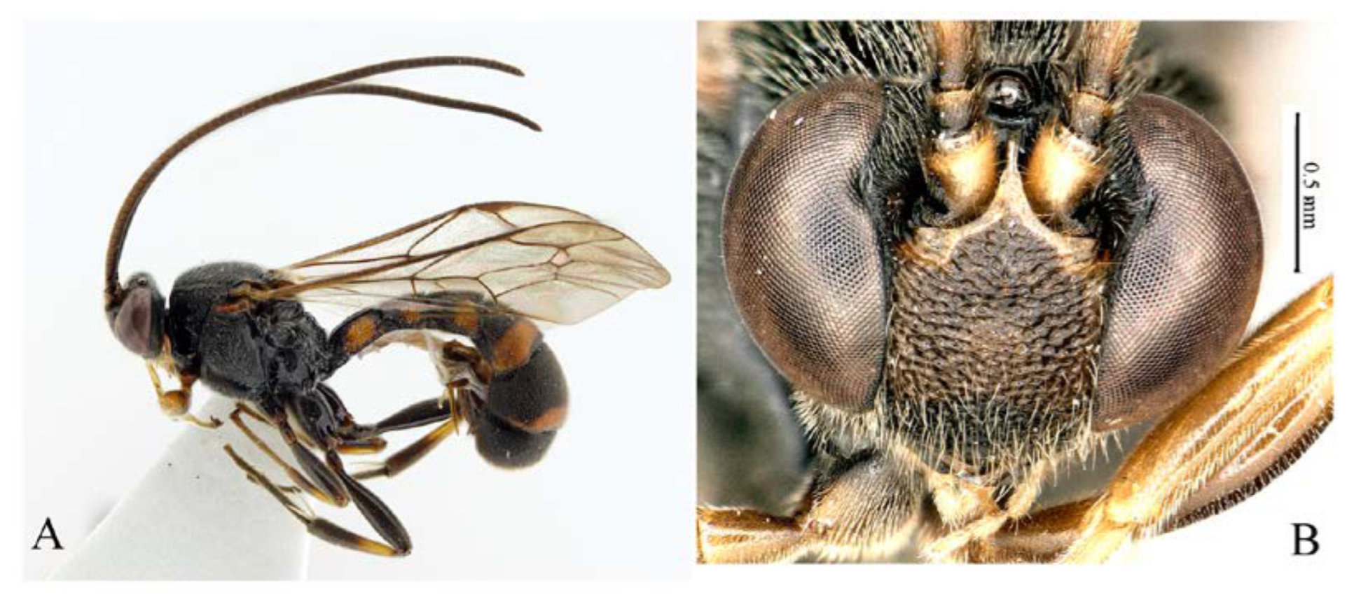 Insects 14 00389 g030