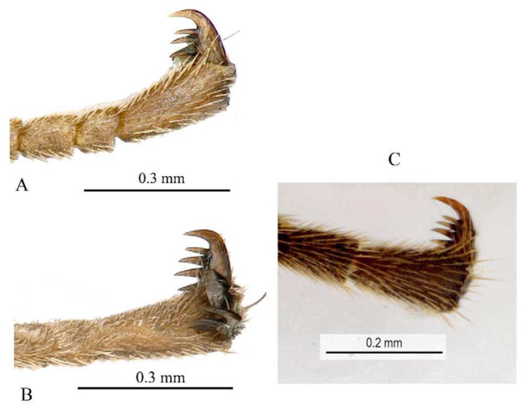 Insects 14 00389 g032