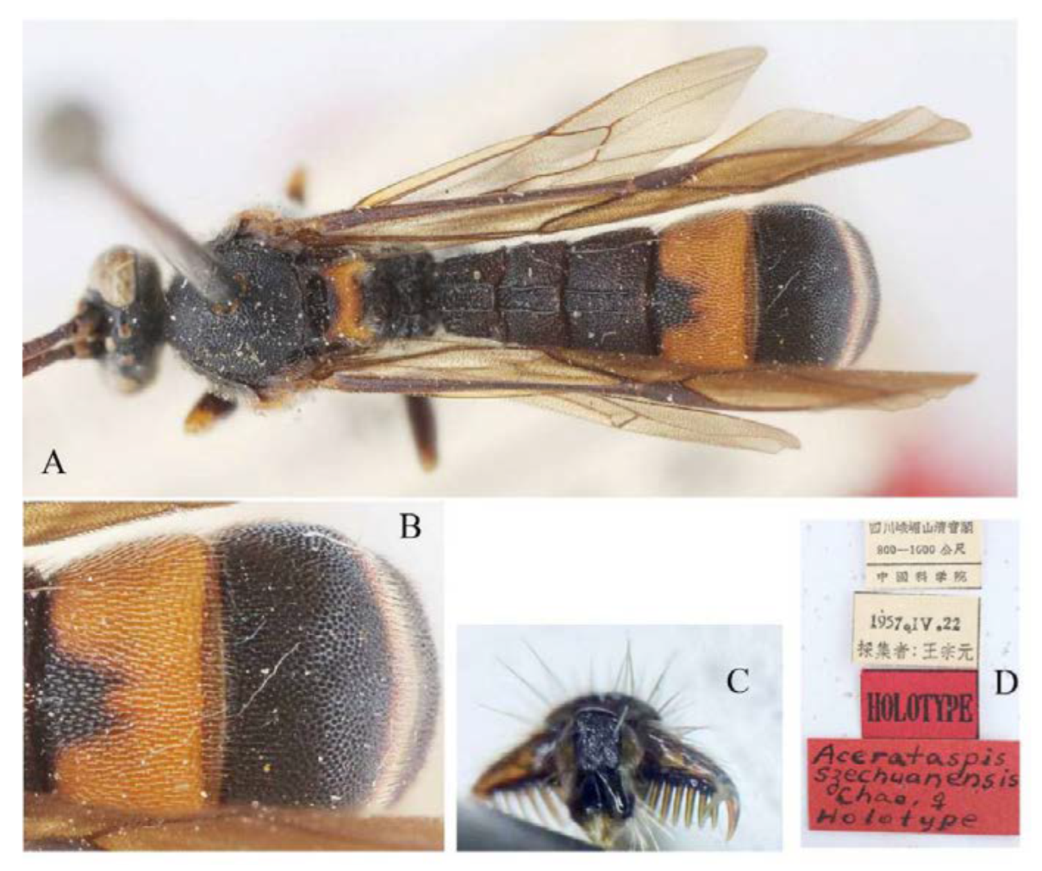 Insects 14 00389 g036