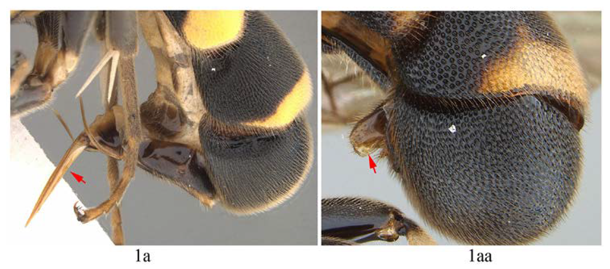 Insects 14 00389 i001