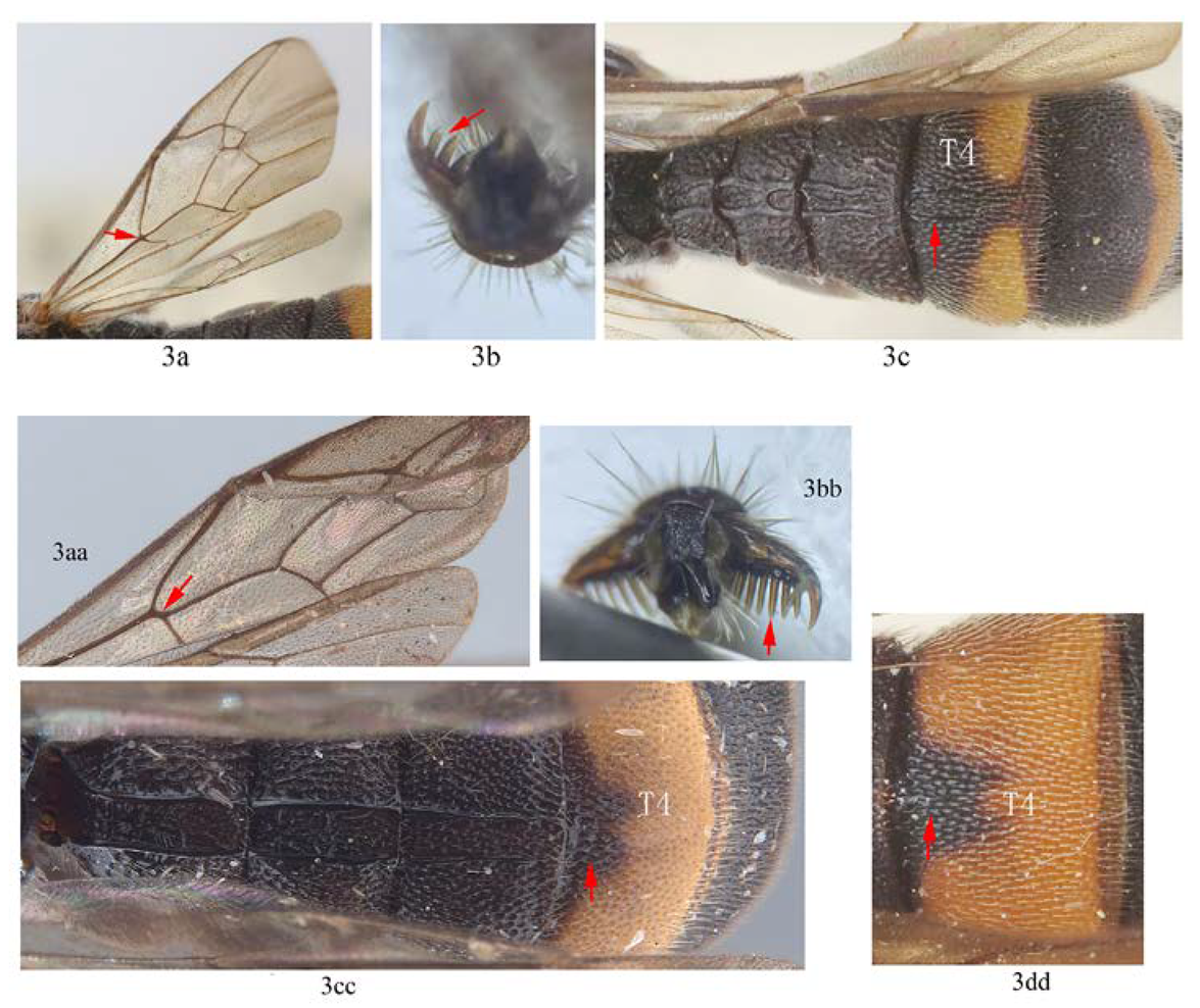 Insects 14 00389 i003