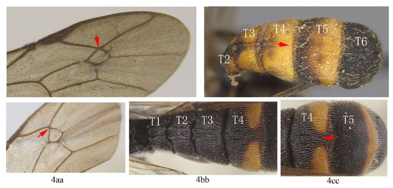 Insects 14 00389 i004