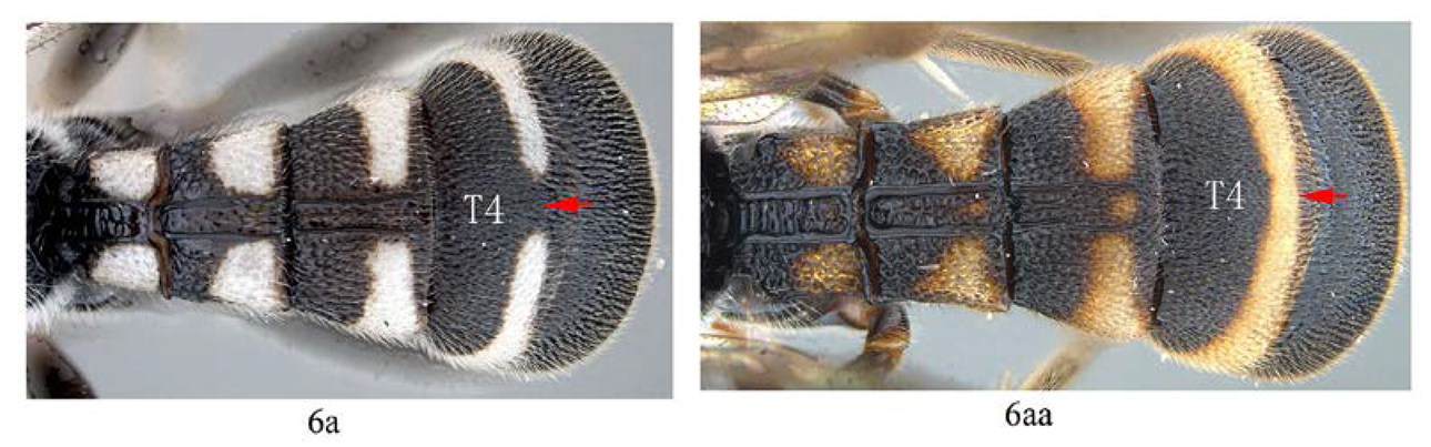 Insects 14 00389 i007