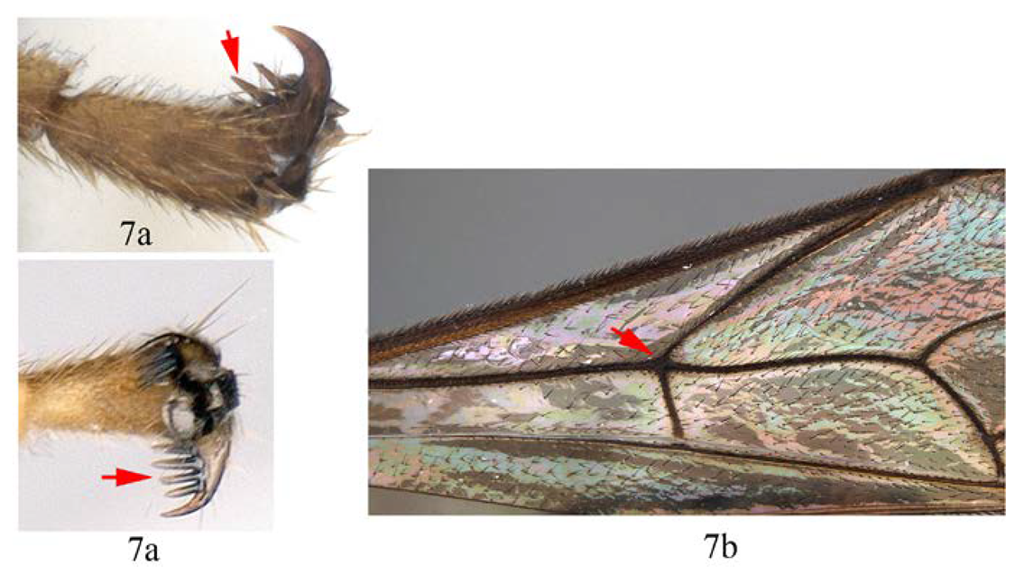 Insects 14 00389 i008