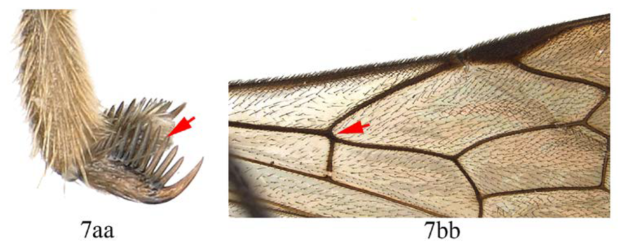 Insects 14 00389 i009