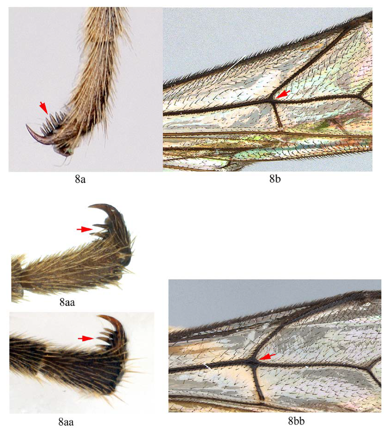 Insects 14 00389 i010