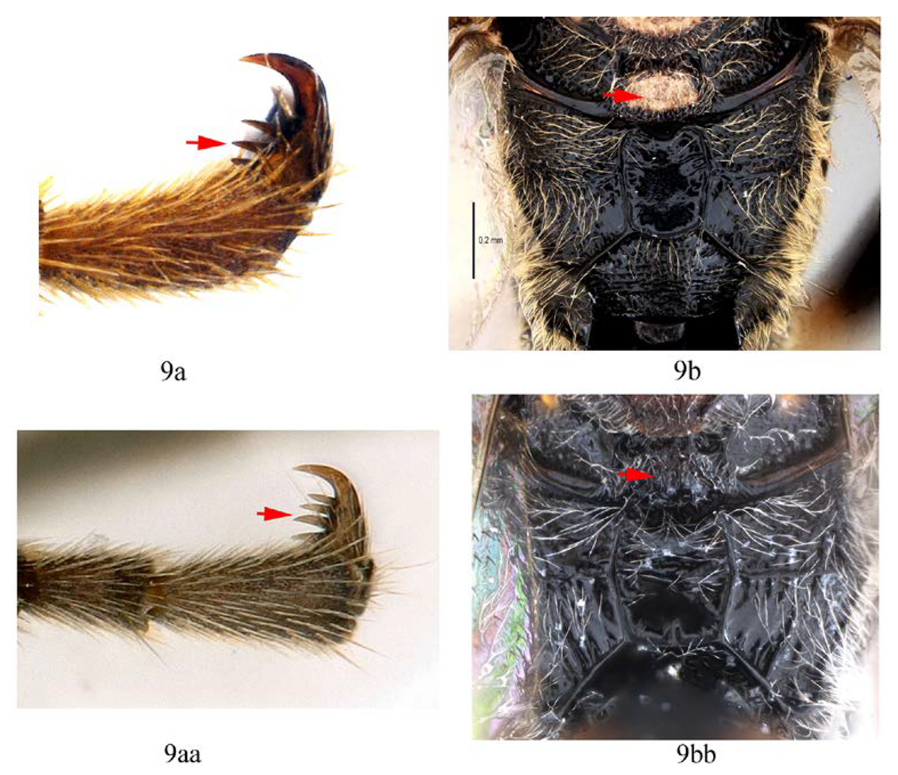 Insects 14 00389 i011