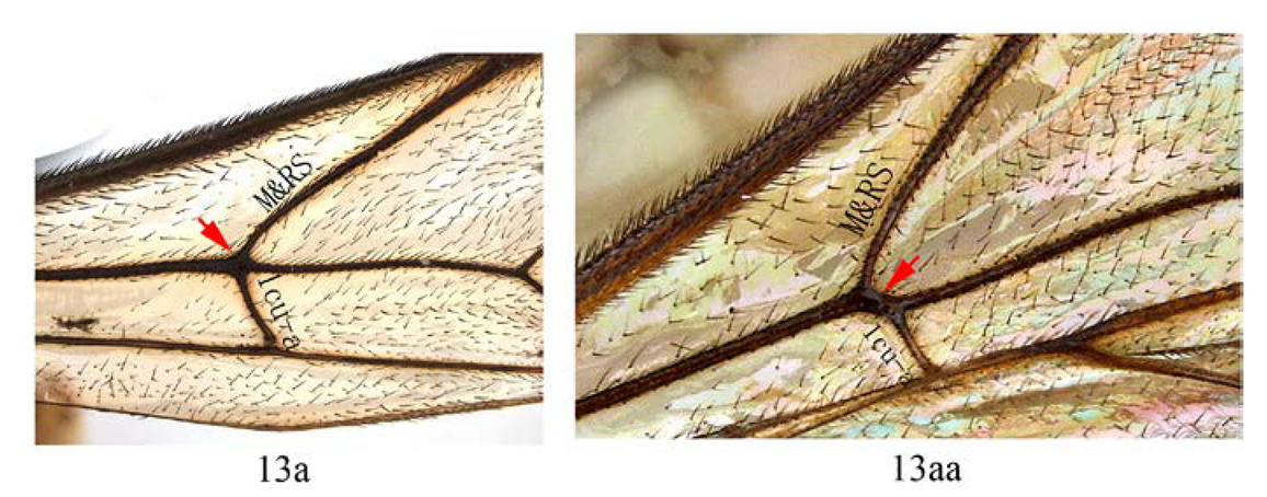 Insects 14 00389 i016