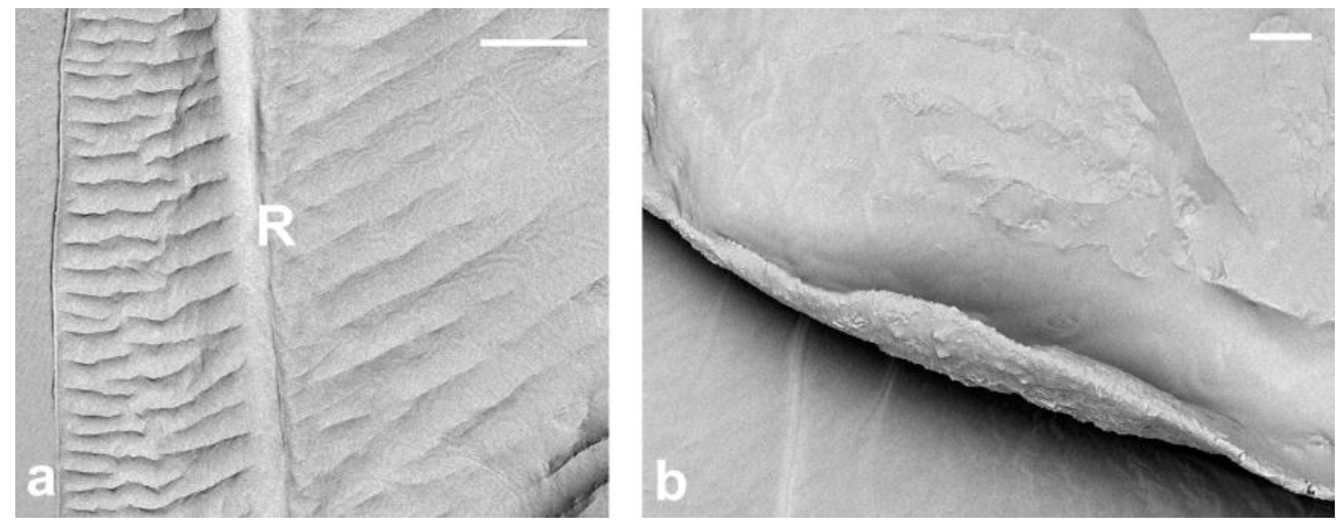 Insects 14 00390 g002