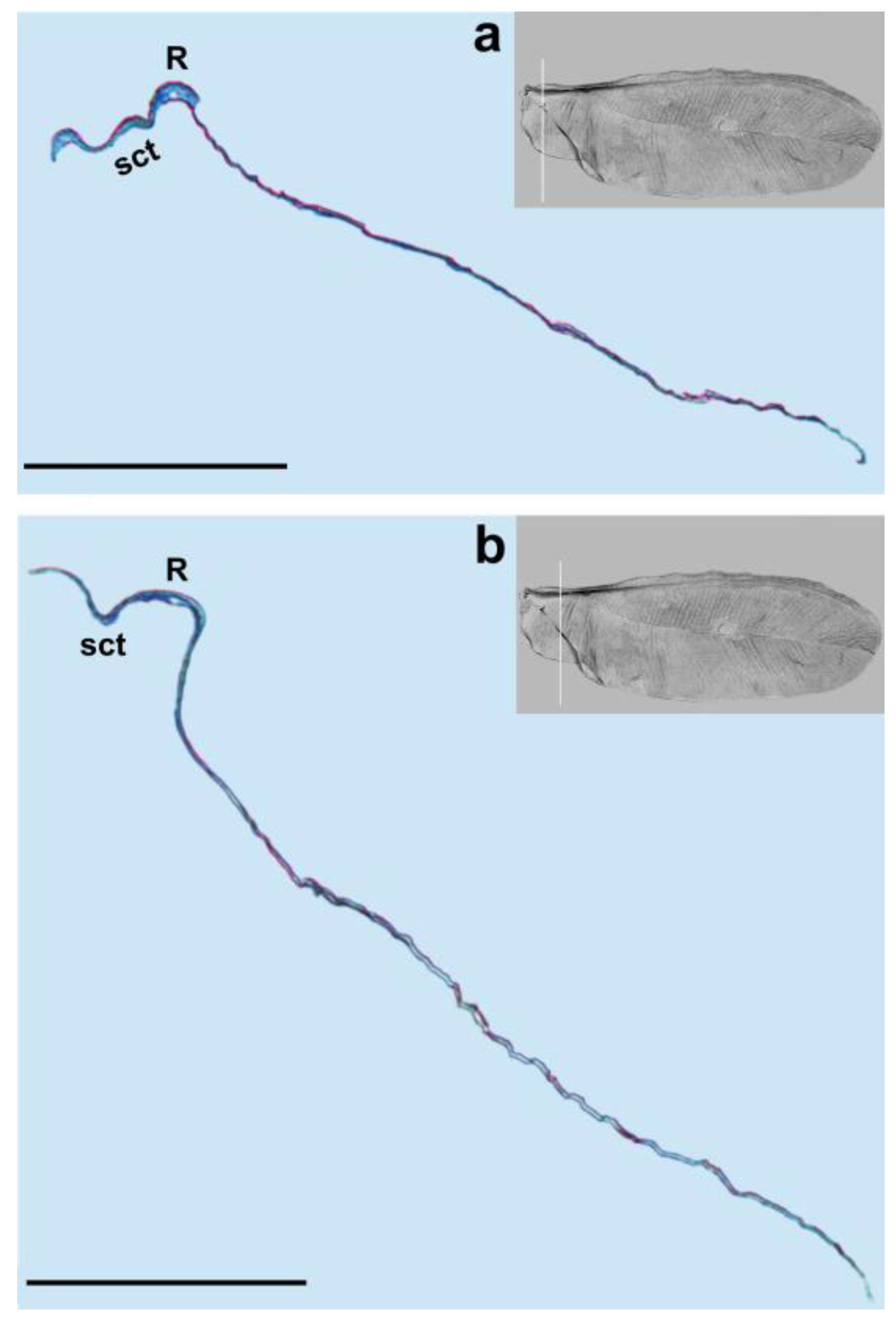 Insects 14 00390 g003