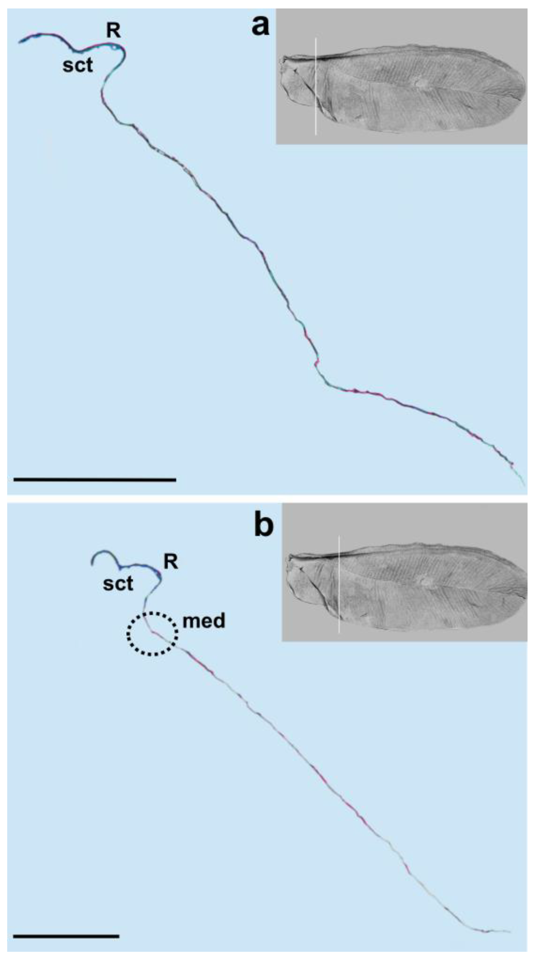 Insects 14 00390 g004