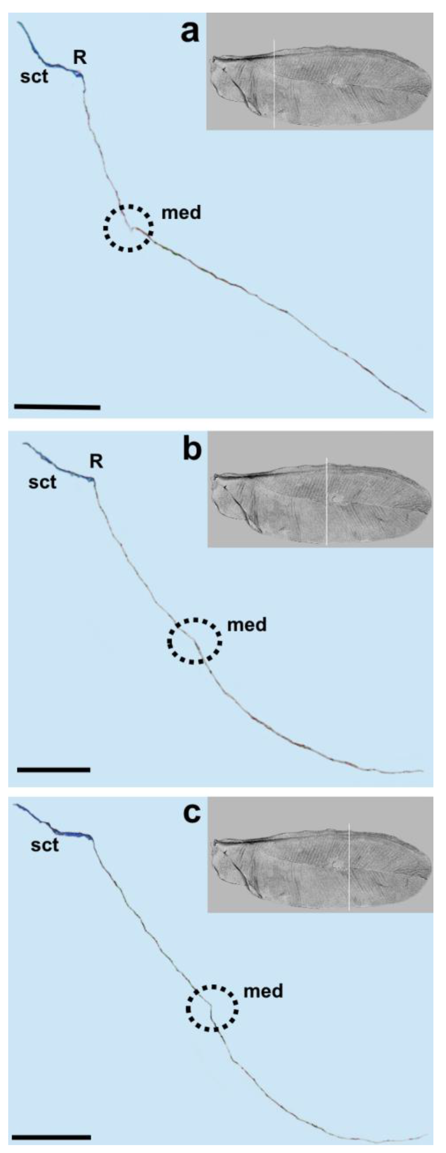 Insects 14 00390 g005