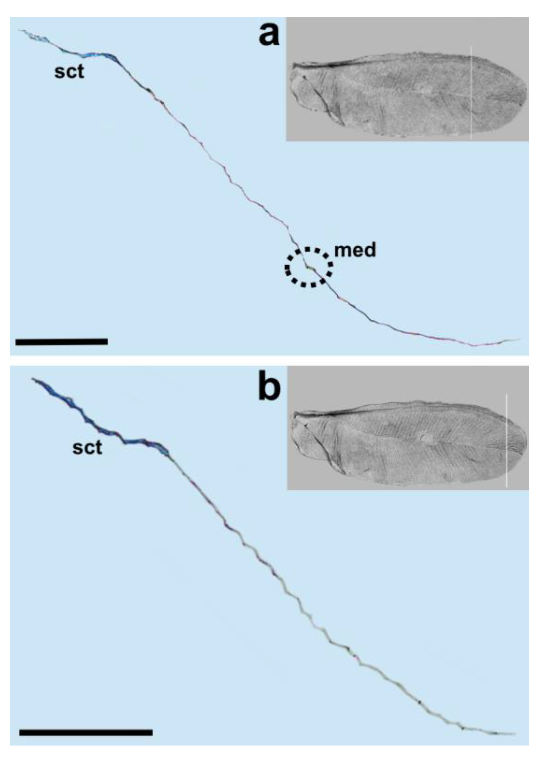 Insects 14 00390 g006