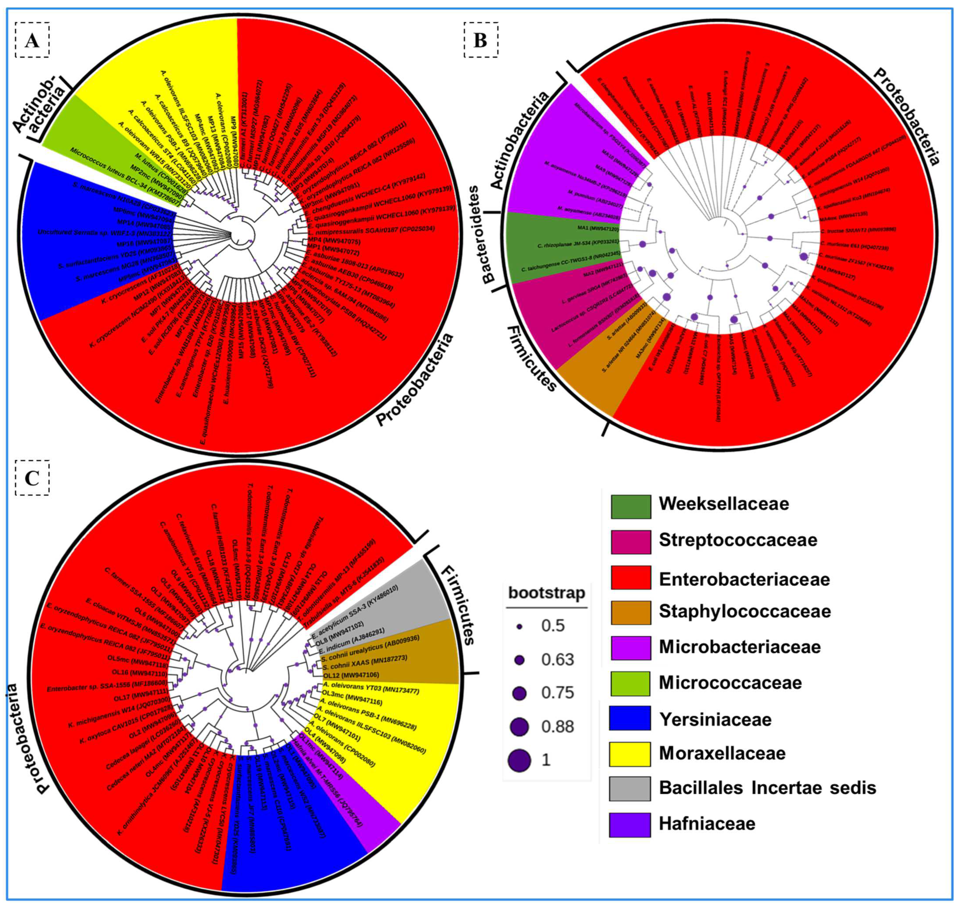 Insects 14 00403 g001 Insects 14 00403 g001
