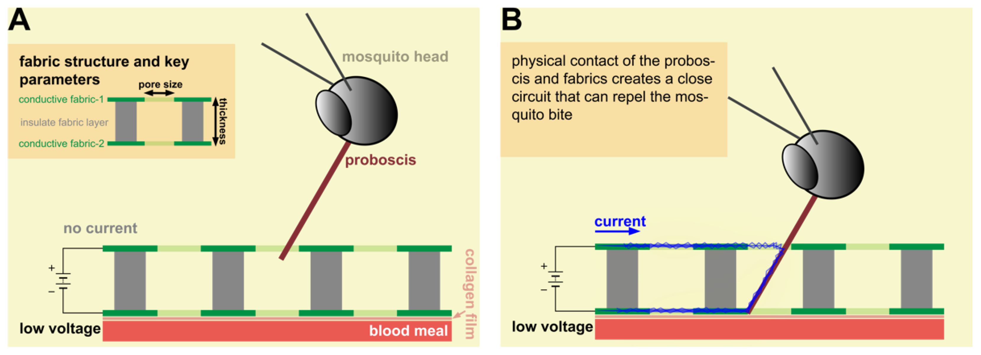 Insects 14 00405 g002