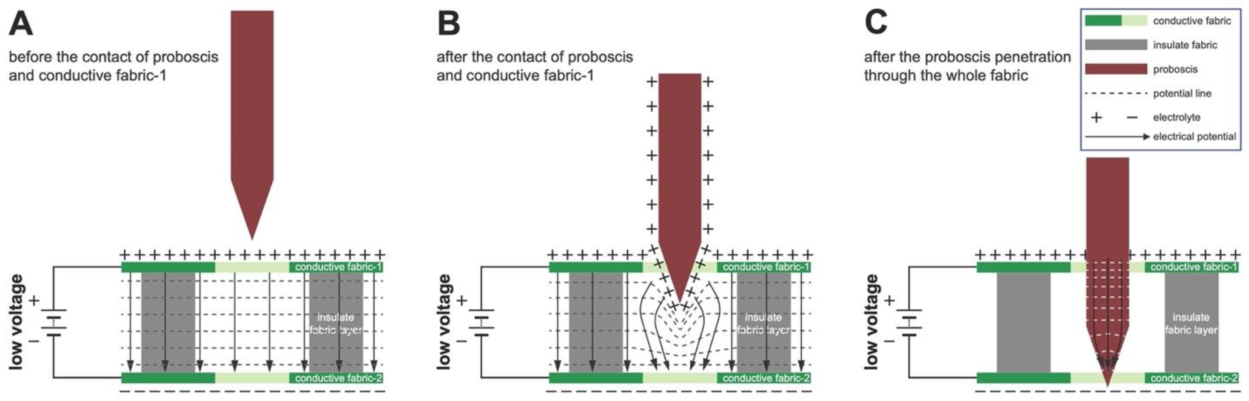 Insects 14 00405 g008