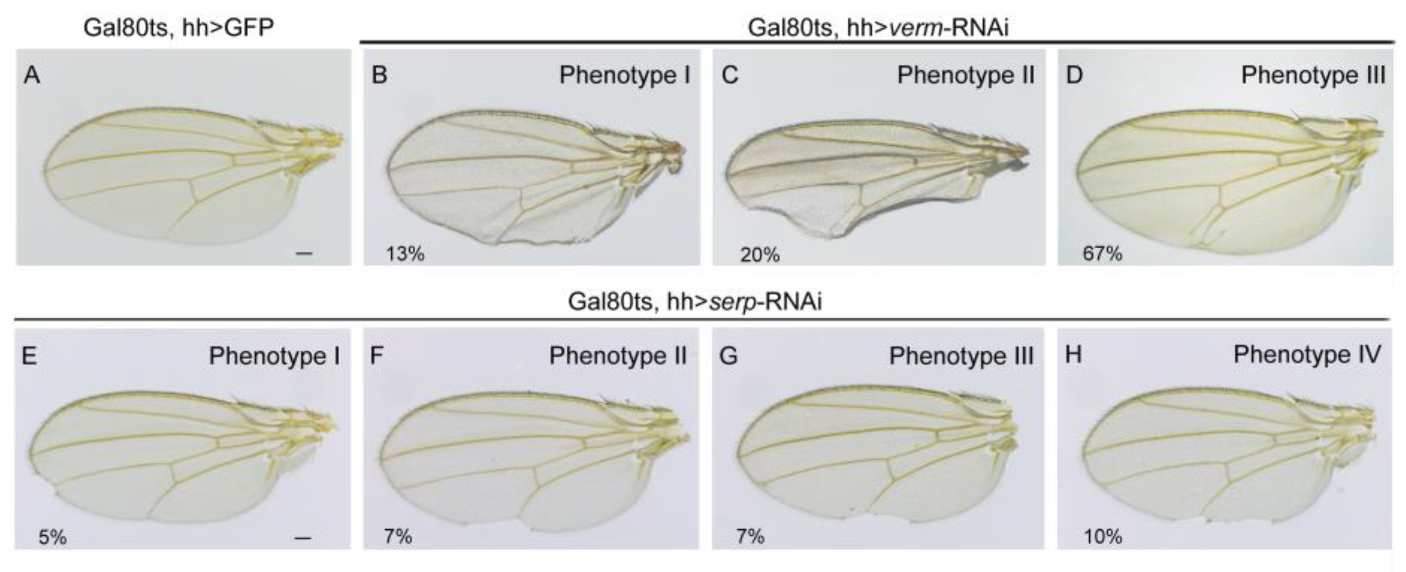 Insects 14 00406 g003 Insects 14 00406 g003