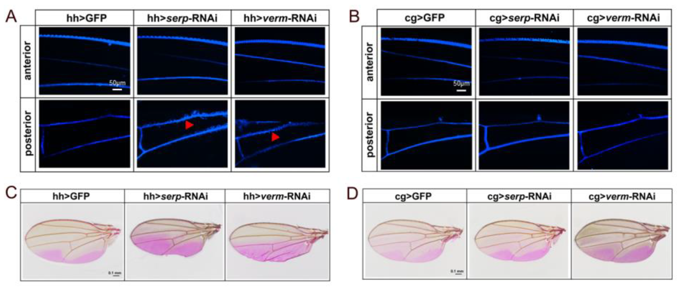 Insects 14 00406 g005 Insects 14 00406 g005