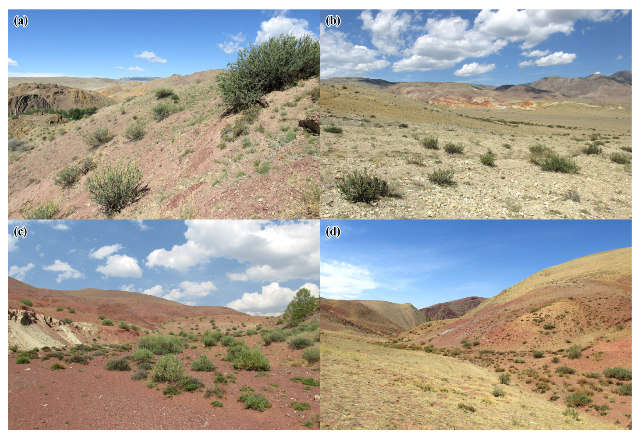 Insects 14 00408 g001