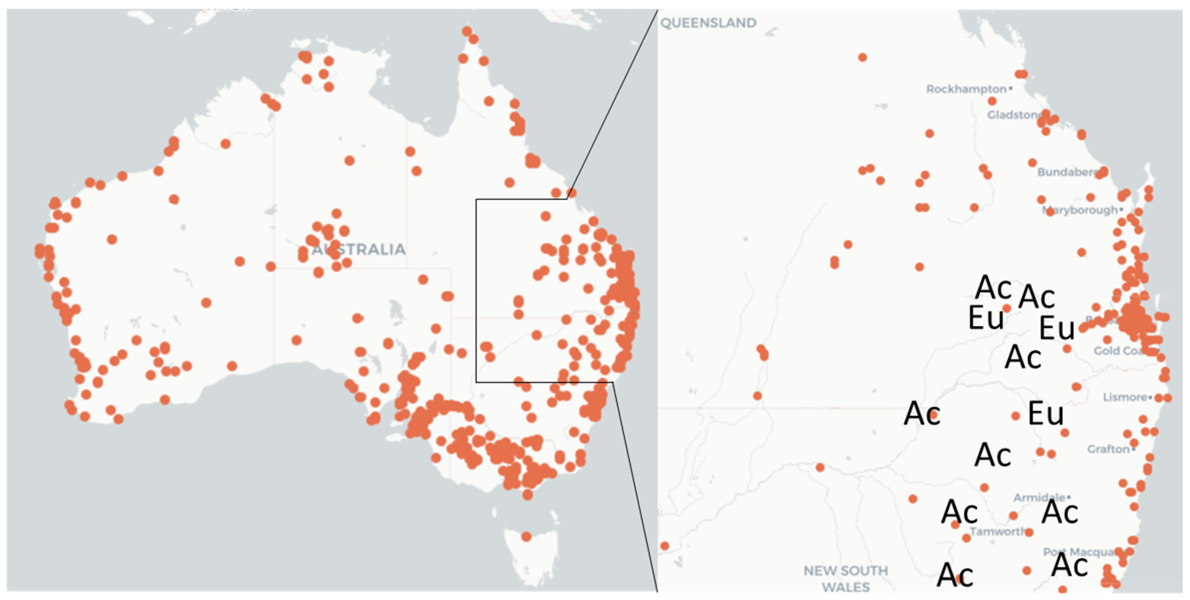 Insects 14 00420 g001
