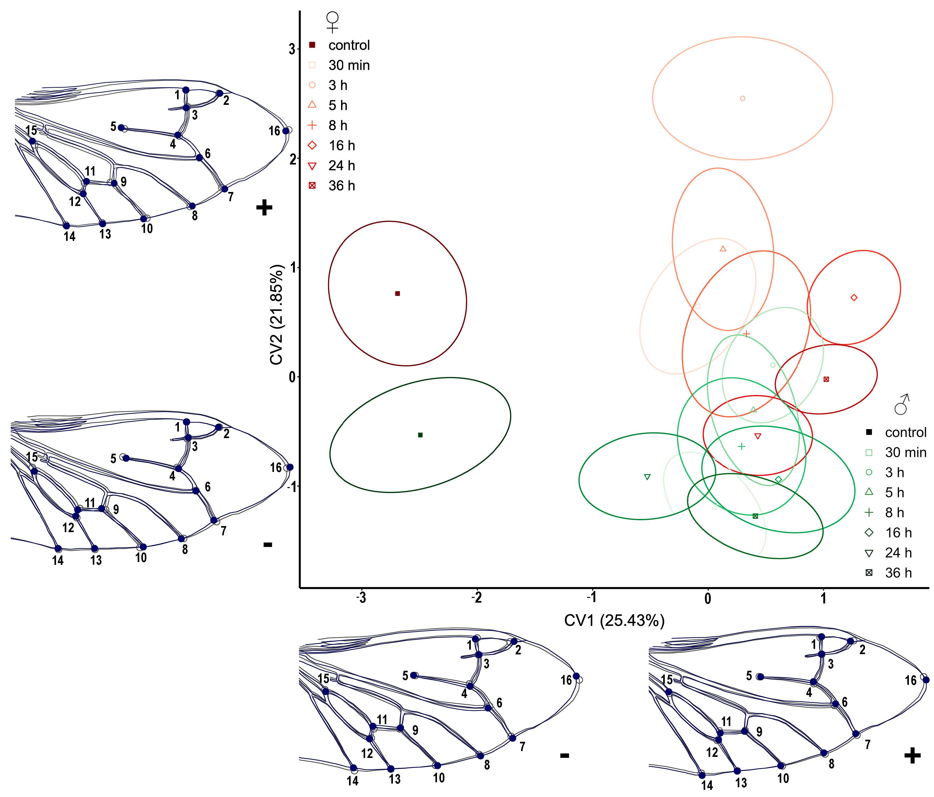 Insects 14 00430 g004 Insects 14 00430 g004