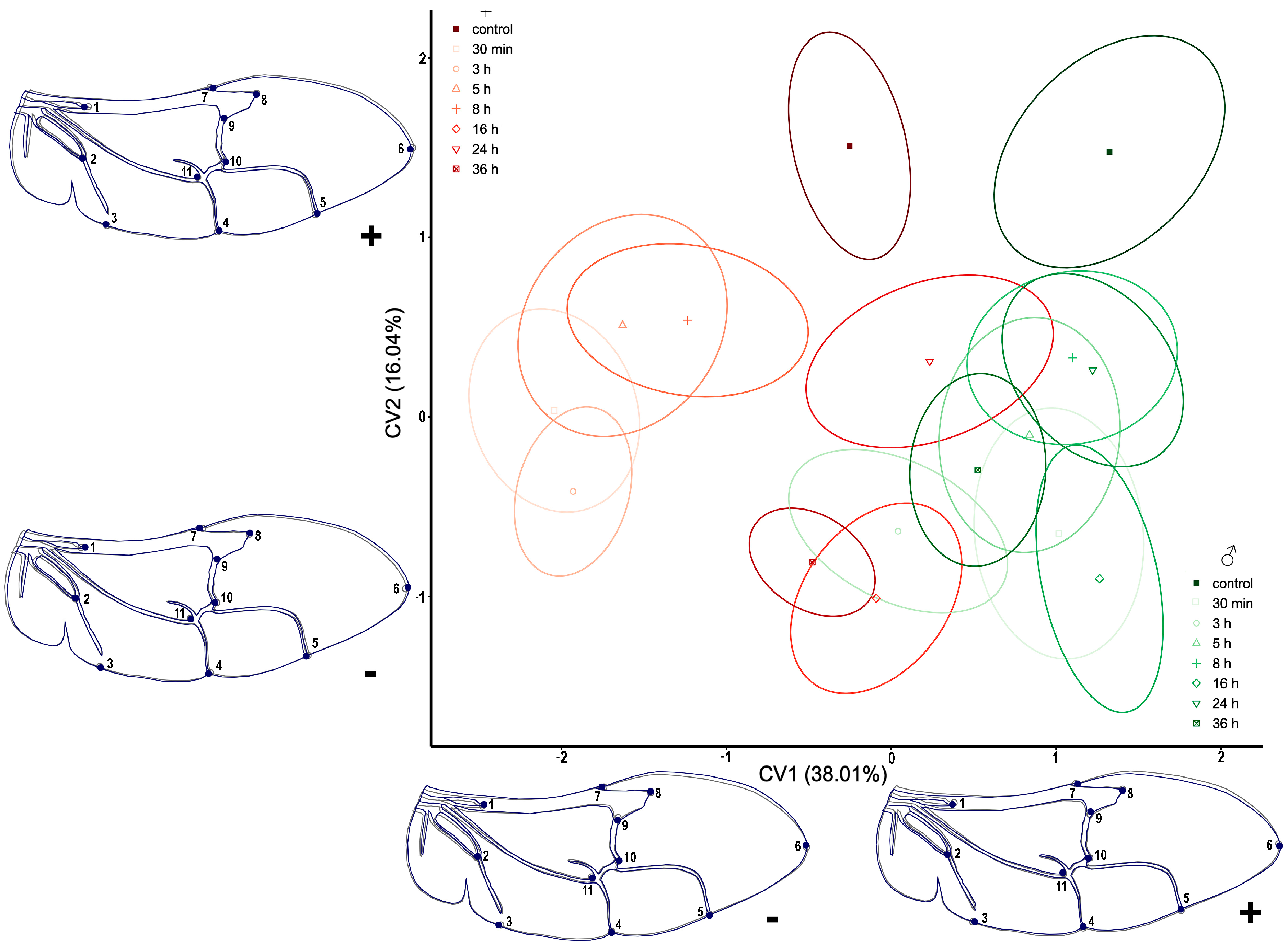 Insects 14 00430 g006 Insects 14 00430 g006