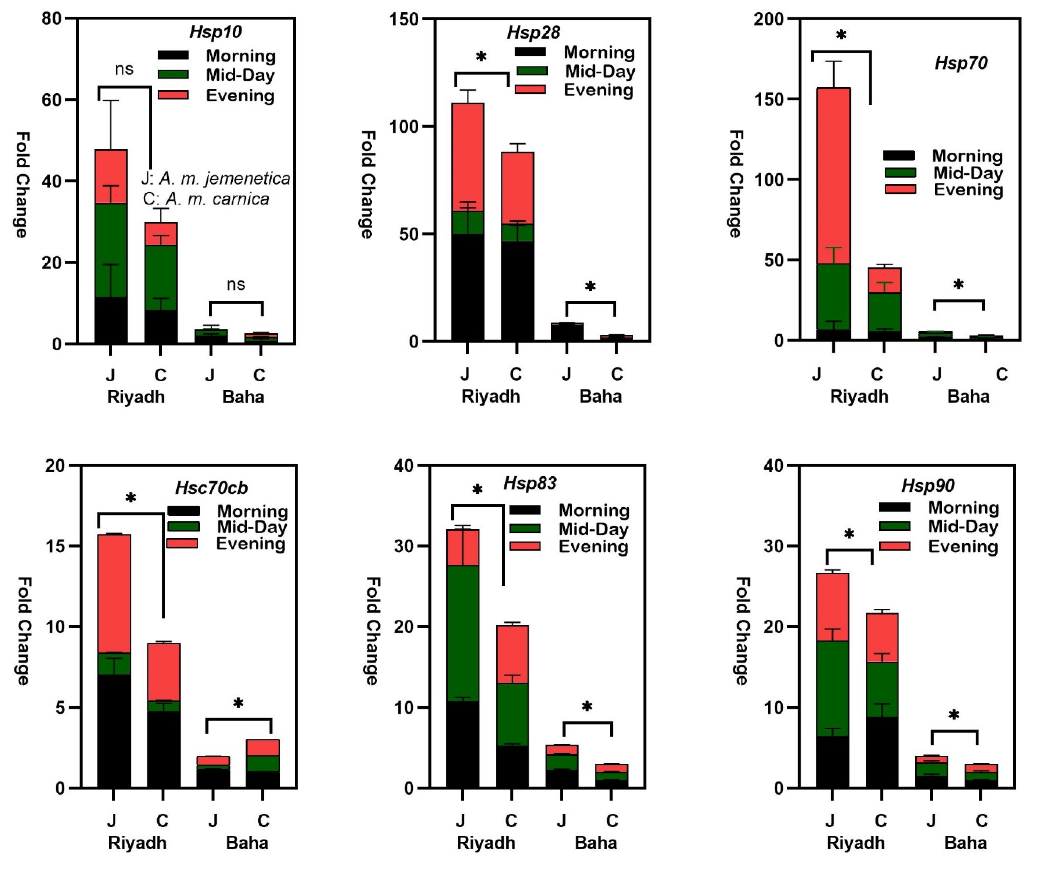Insects 14 00432 g001