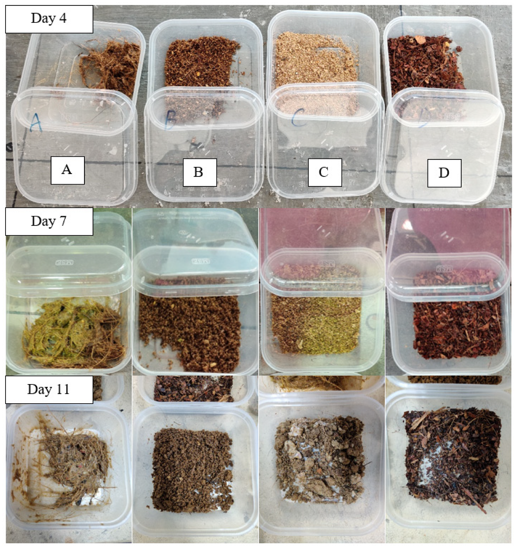 Insects 14 00434 g011 Insects 14 00434 g011