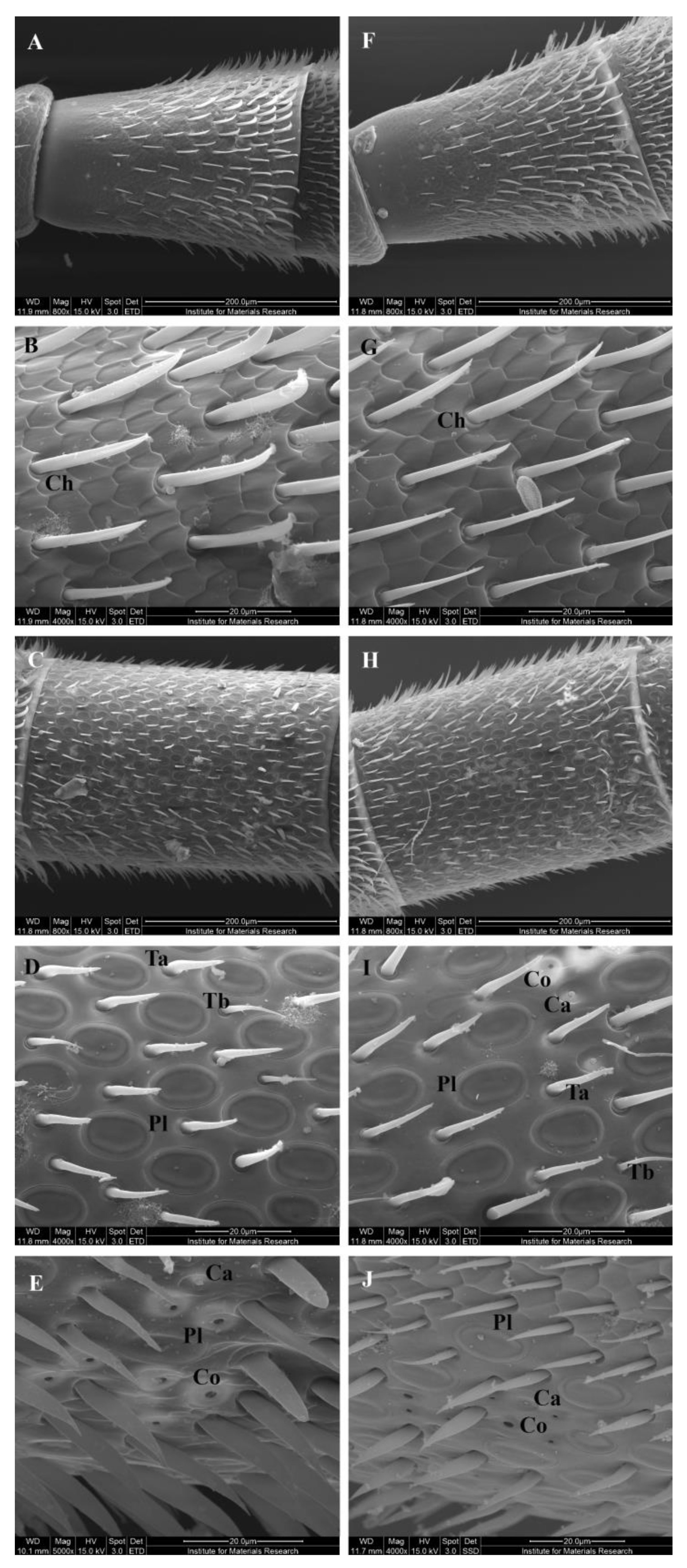 Insects 14 00436 g003 Insects 14 00436 g003