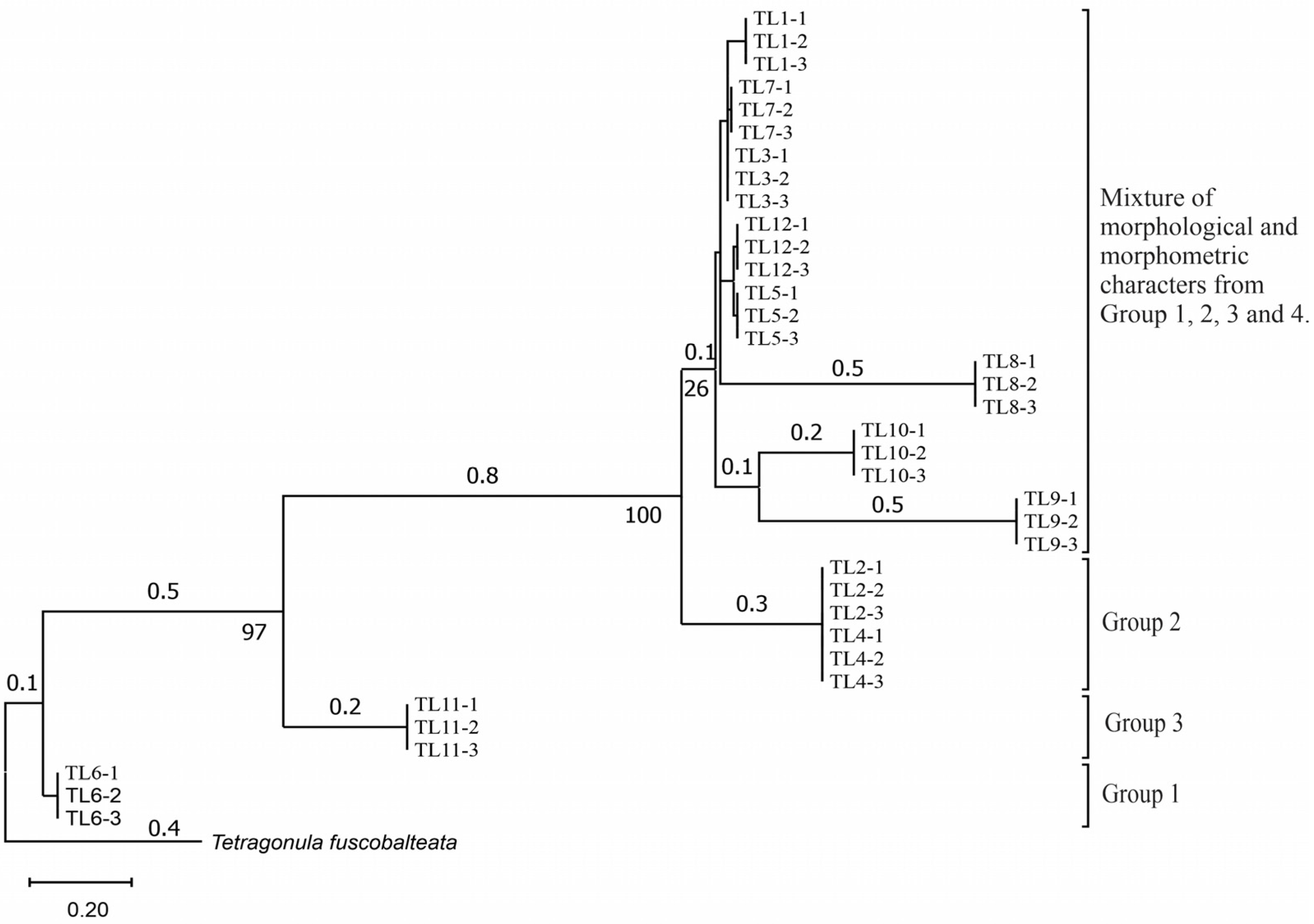 Insects 14 00438 g004