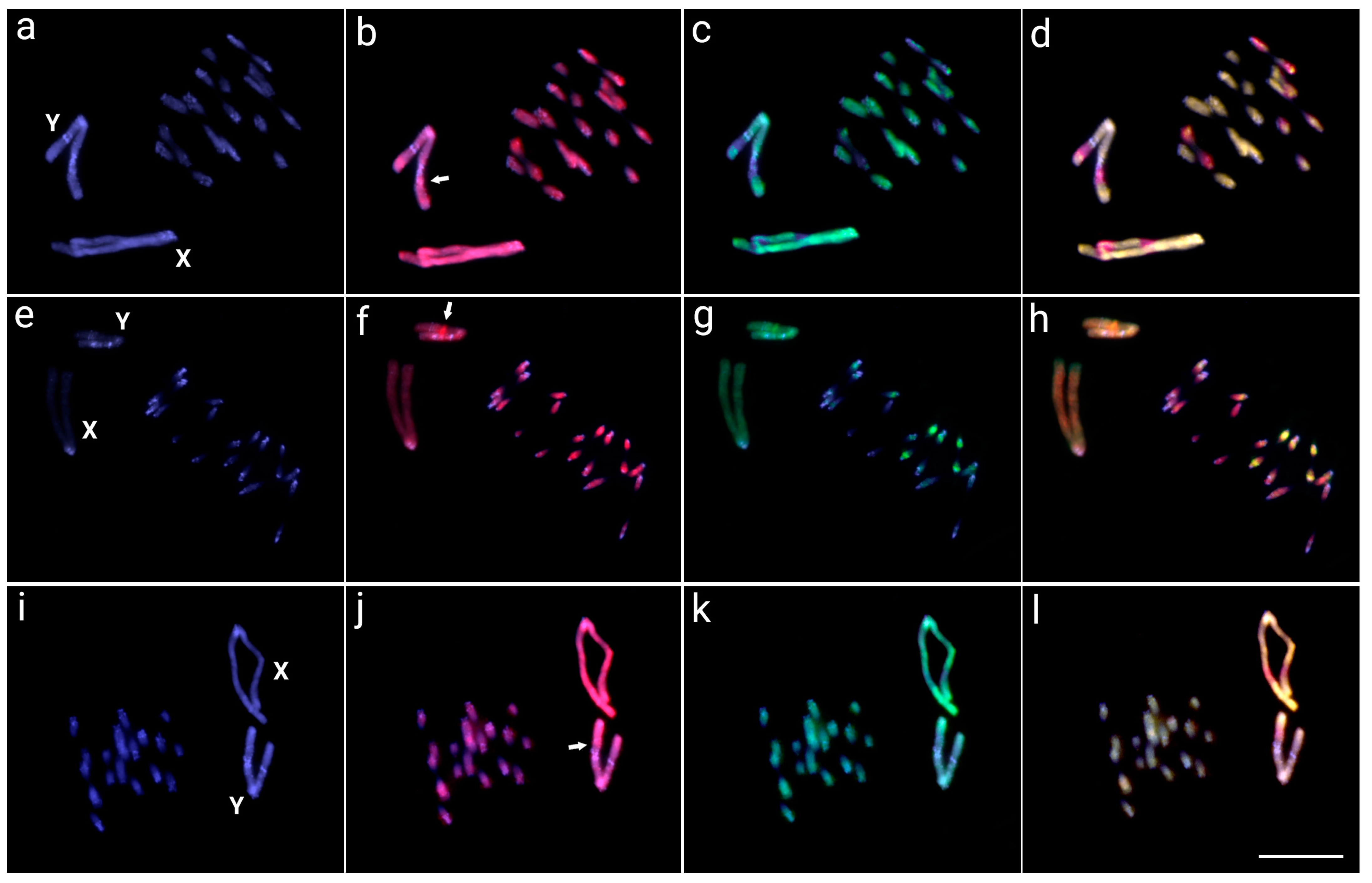 Insects 14 00440 g002