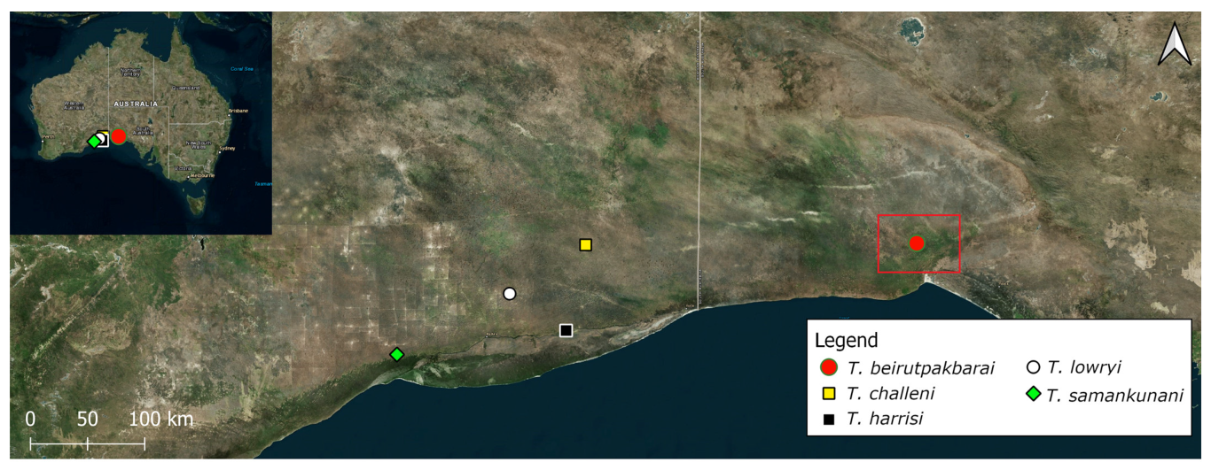 Insects 14 00449 g002