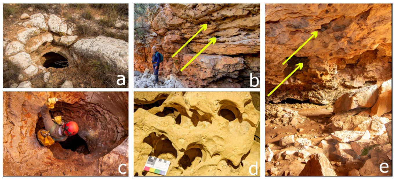 Insects 14 00449 g003