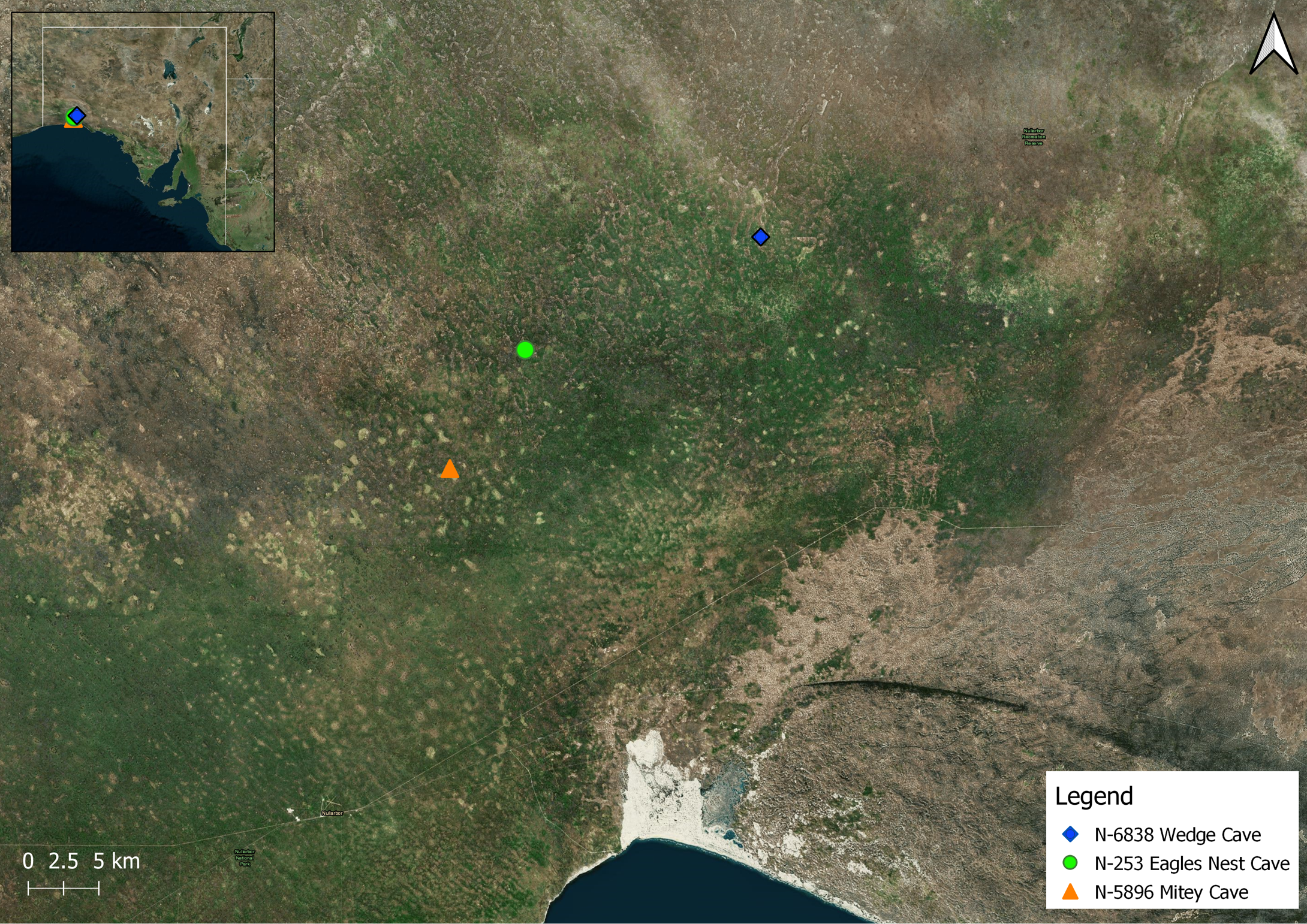 Insects 14 00449 g004