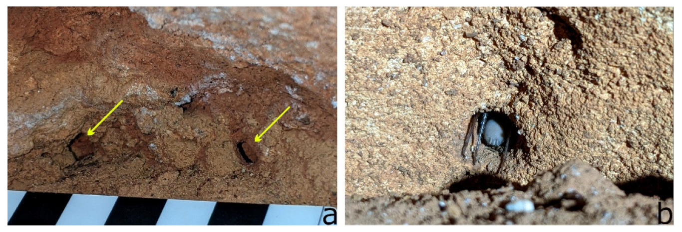 Insects 14 00449 g007